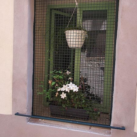 Art Lovers Apart Third Floor Béziers Exterior foto